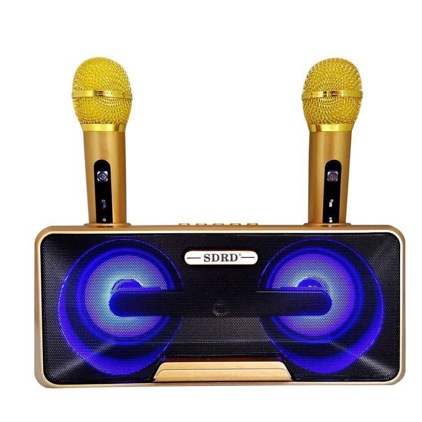 Haut-parleur karaoké Bluetooth Professionnel SDRD Avec Microphone Sans Fil  